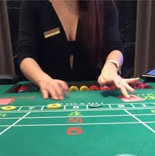 vk33 sports and live casino content layout for adult users